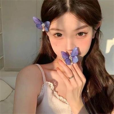 战争与和平1：安德烈·博尔孔斯基